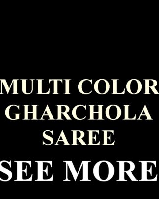 Multi Color Gharchola