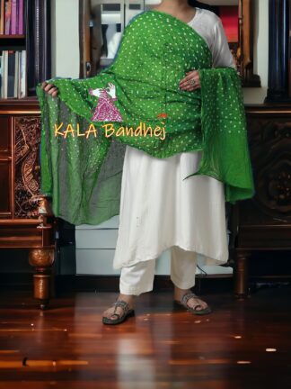 Parrot Bandhani Pure Cotton Dupatta