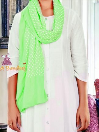 Pastel Parrot Bandhani Pure Cotton Dupatta